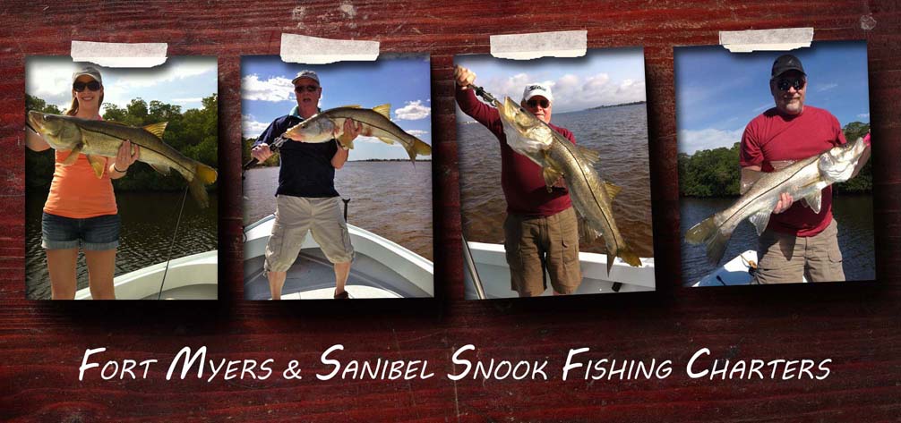 fort myers snook fishing guides, fort myers snook fishing charters, snook fishing fort myers beach sanibel island