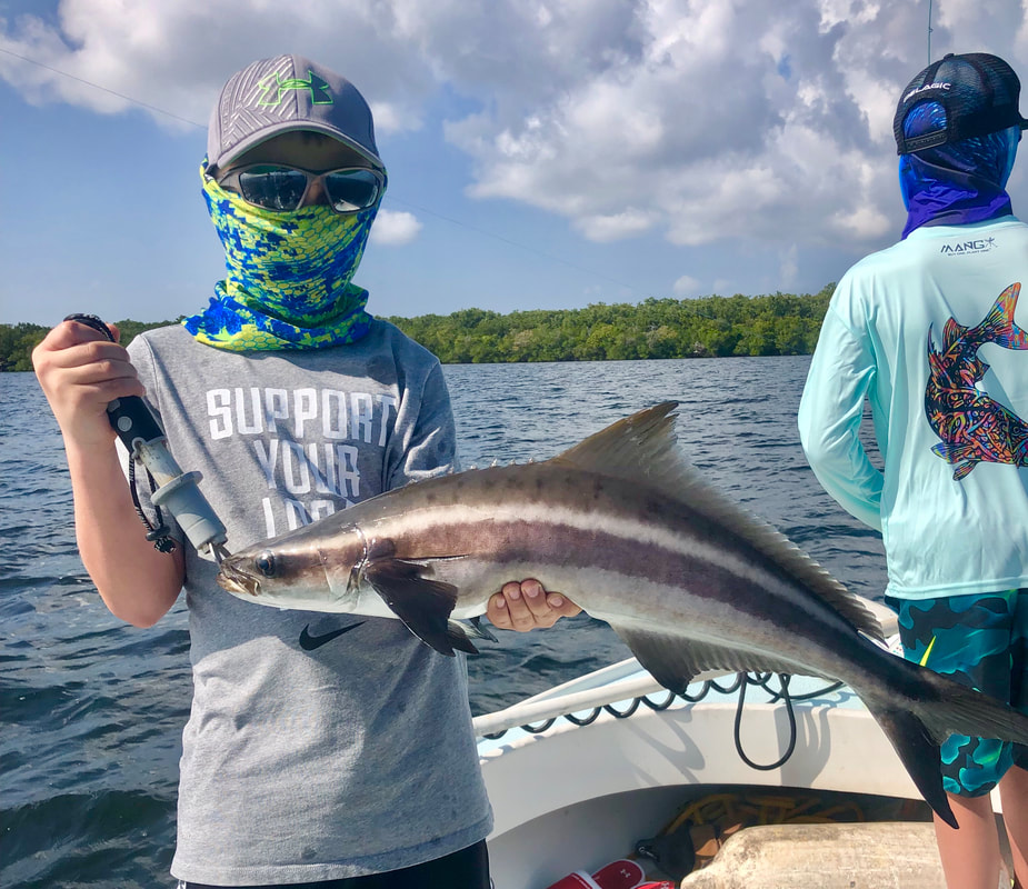 fort myers cobia fishing